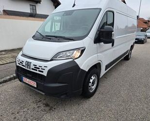 Fiat Ducato Gebrauchtwagen
