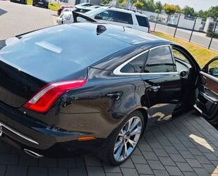 Jaguar XJ Gebrauchtwagen