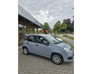 Fiat Panda Gebrauchtwagen