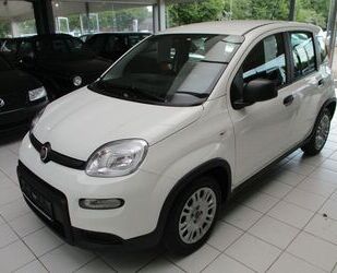 Fiat Panda Gebrauchtwagen
