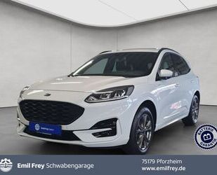 Ford Kuga Gebrauchtwagen