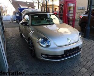 VW Beetle Gebrauchtwagen