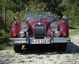 Jaguar XK 