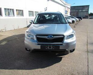 Subaru Forester Gebrauchtwagen