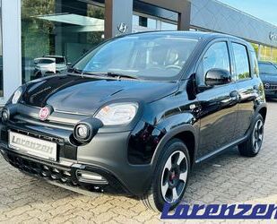 Fiat Panda Gebrauchtwagen