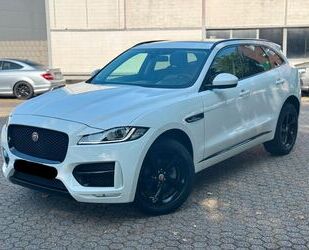 Jaguar F-Pace Gebrauchtwagen