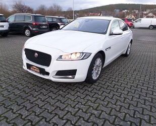 Jaguar XF Gebrauchtwagen