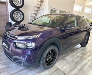 Citroen C4 Cactus Gebrauchtwagen