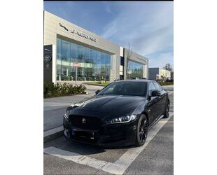 Jaguar XE Gebrauchtwagen