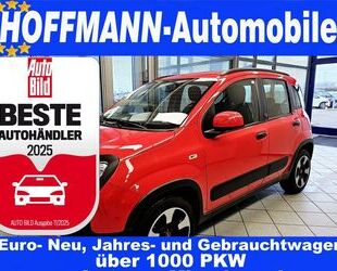 Fiat Panda Gebrauchtwagen