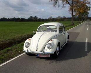VW Käfer Gebrauchtwagen