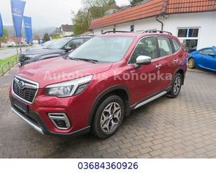 Subaru Forester Gebrauchtwagen