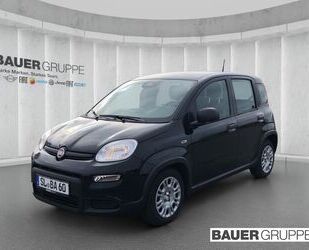 Fiat Panda Gebrauchtwagen