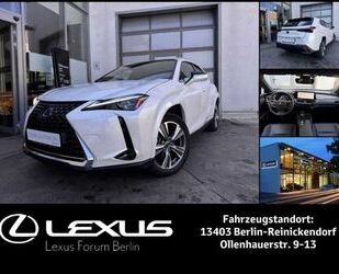 Lexus UX Gebrauchtwagen