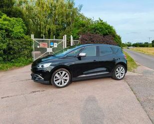 Renault Scenic Gebrauchtwagen