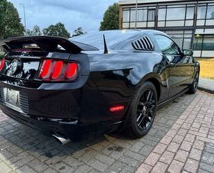 Ford Mustang Gebrauchtwagen