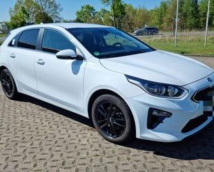 Kia ceed / Ceed Gebrauchtwagen