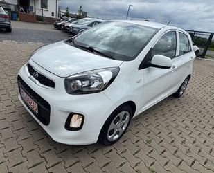 Kia Picanto Gebrauchtwagen