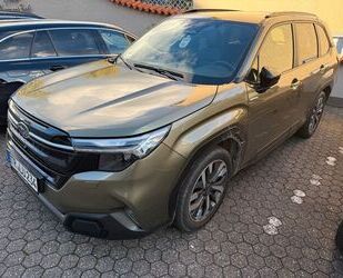 Subaru Forester Gebrauchtwagen