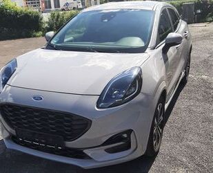 Ford Puma Gebrauchtwagen