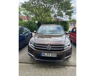 VW Tiguan Gebrauchtwagen