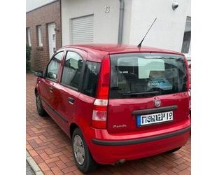 Fiat Panda Gebrauchtwagen