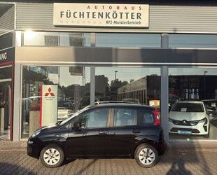 Fiat Panda Gebrauchtwagen