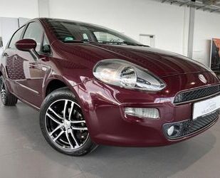 Fiat Punto Gebrauchtwagen