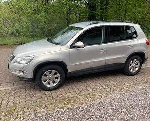 VW Tiguan Gebrauchtwagen