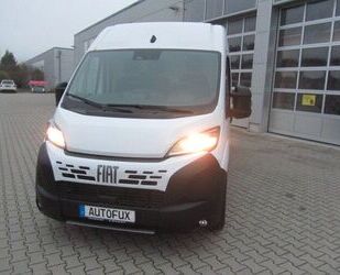 Fiat Ducato Gebrauchtwagen