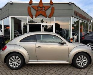 VW Beetle Gebrauchtwagen