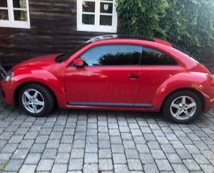 Citroen Beetle 