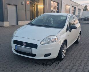 Fiat Punto Gebrauchtwagen