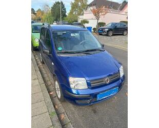 Fiat Panda Gebrauchtwagen