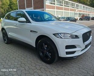 Jaguar F-Pace Gebrauchtwagen