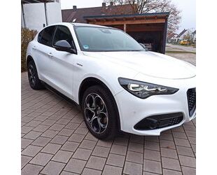 Alfa Romeo Stelvio Gebrauchtwagen