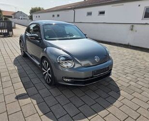 VW Beetle Gebrauchtwagen