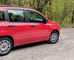 Fiat Panda Gebrauchtwagen