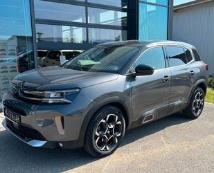 Citroen C5 Aircross Gebrauchtwagen