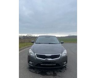 Kia ceed / Ceed Gebrauchtwagen