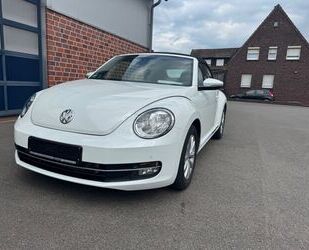 VW Beetle Gebrauchtwagen