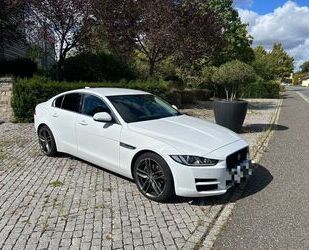 Jaguar XE Gebrauchtwagen