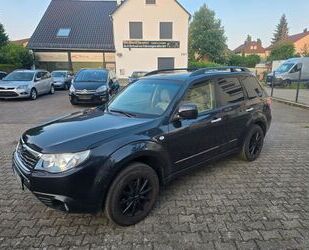 Subaru Forester Gebrauchtwagen