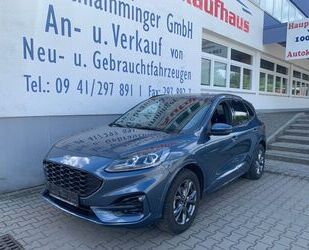Ford Kuga Gebrauchtwagen