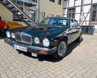 Jaguar XJ12 Gebrauchtwagen