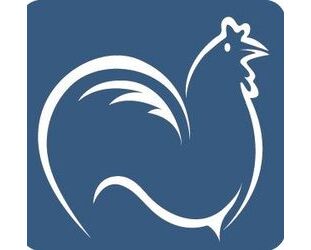 Ferrari FF Gebrauchtwagen