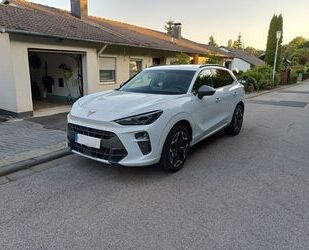 Cupra Terramar Gebrauchtwagen