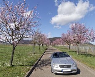 Mercedes-Benz SLK 200 Gebrauchtwagen