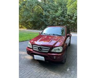 Mercedes-Benz ML 55 AMG Gebrauchtwagen