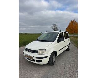 Fiat Panda Gebrauchtwagen